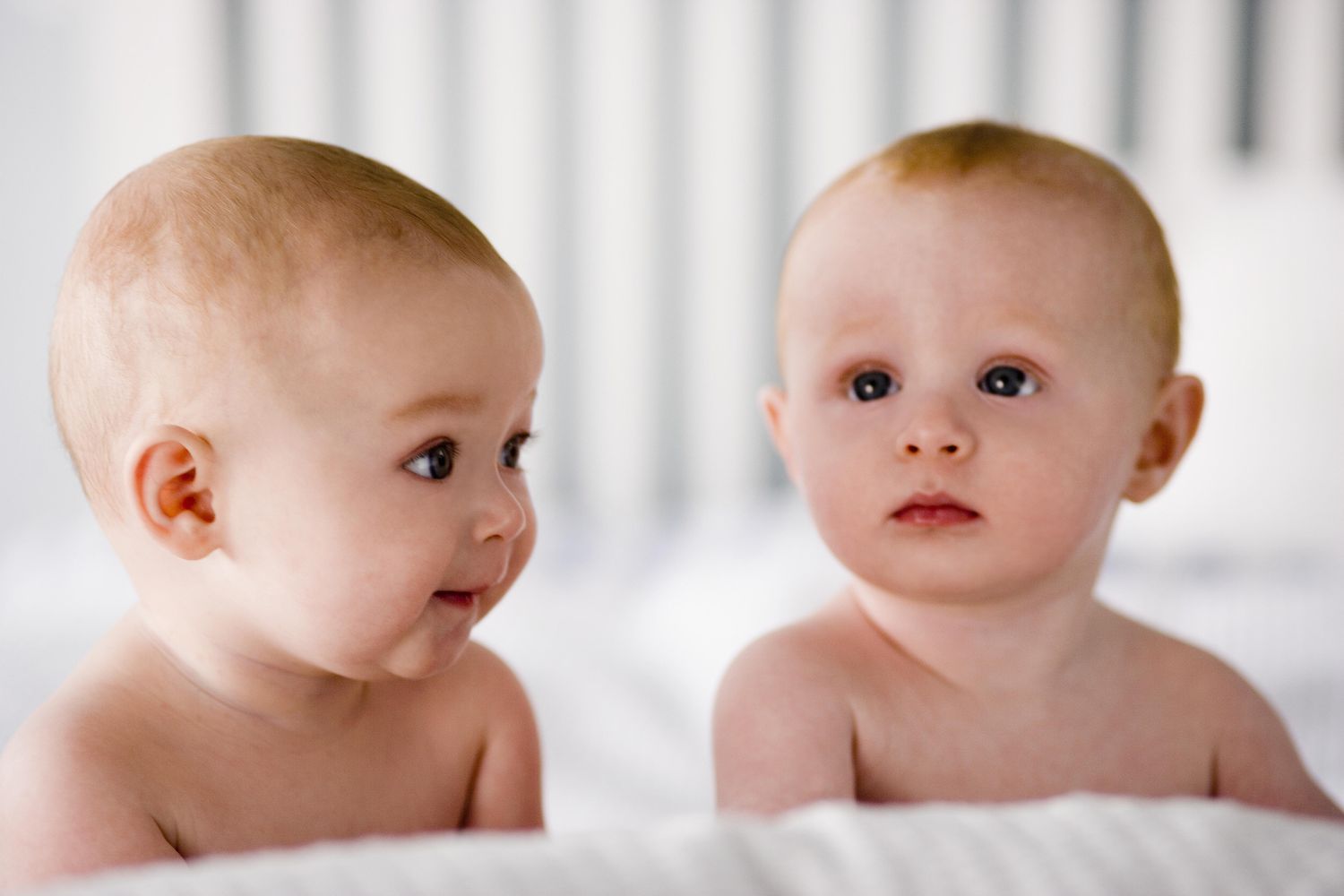 Cam Kết Của twin